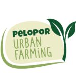 Cara Mengikuti Pelopor Urban Farming