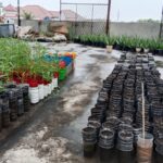 DUKUNG KETAHANAN PANGAN YATIM DHUAFA MELALUI SAMPAH BOTOL BEKAS
