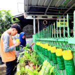 Ketahanan Pangan Yatim Dhuafa, Pelopor Duplikasi Urban Farming di Rumah Yatim!