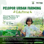 Pelopor Urban Farming Edutime!