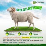 Check Out sekarang, Dapat Gift Menarik di Bulan Mei..!!!!
