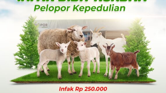 Sedekah Bibit Kurban Pelopor Kepedulian!